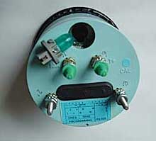 Speedo light