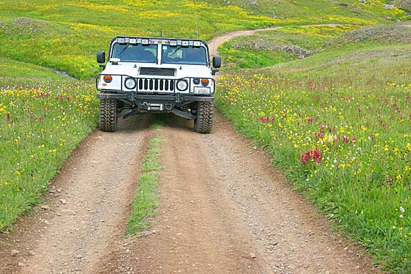 Picayne Gulch