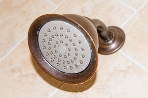 Moen shower head