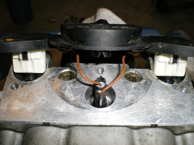PICTURE 3.JPG