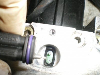 PICTURE 4.JPG