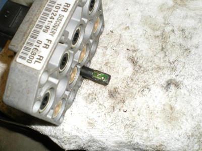 PICTURE 12.JPG