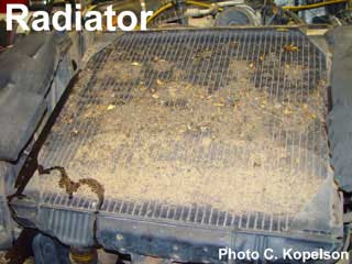 Dirty Radiator