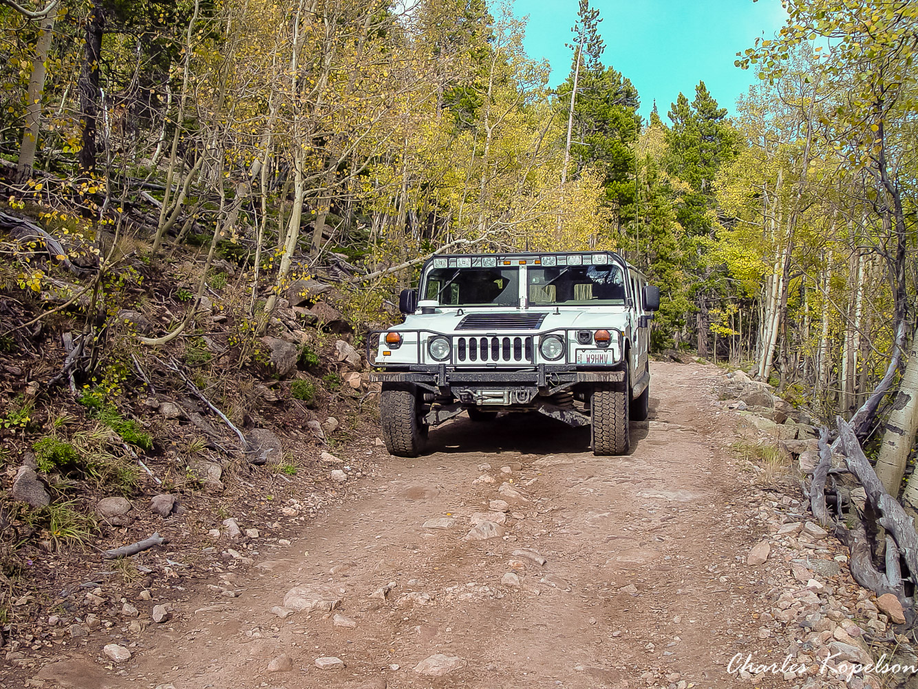 Cascade Creek road, noted as road 116